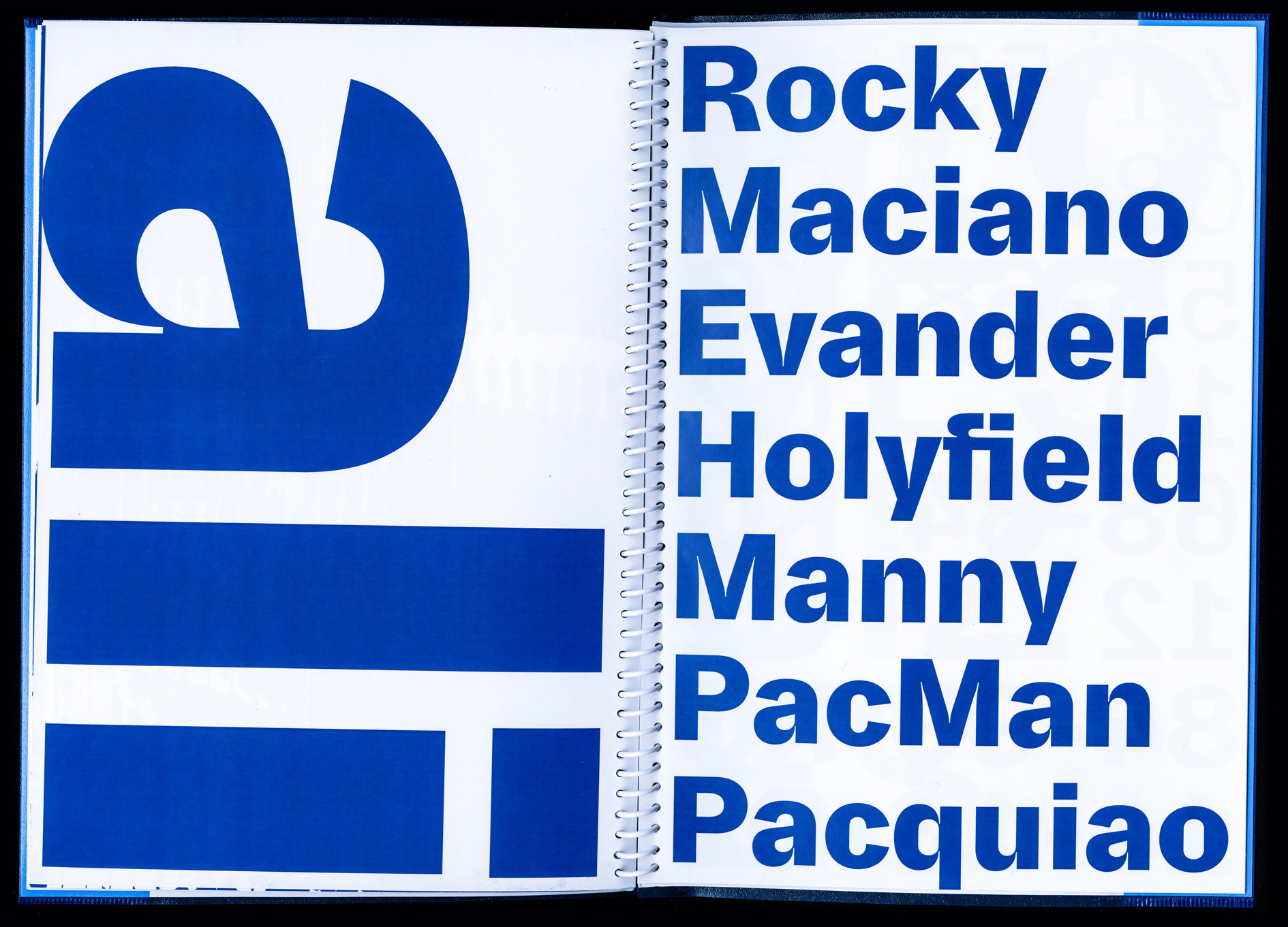 Marcel Saidov Ando Typeface ECAl Master Type Design boxing Grotesk